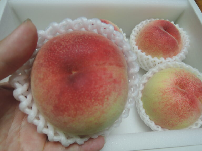 桃 ふるさと納税