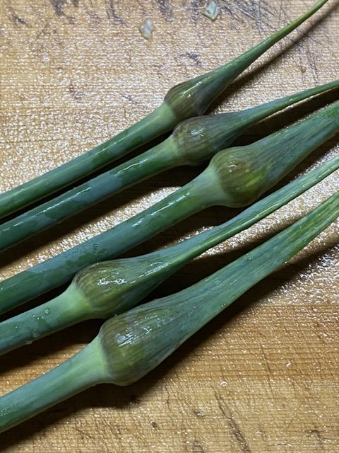 国産にんにくの芽