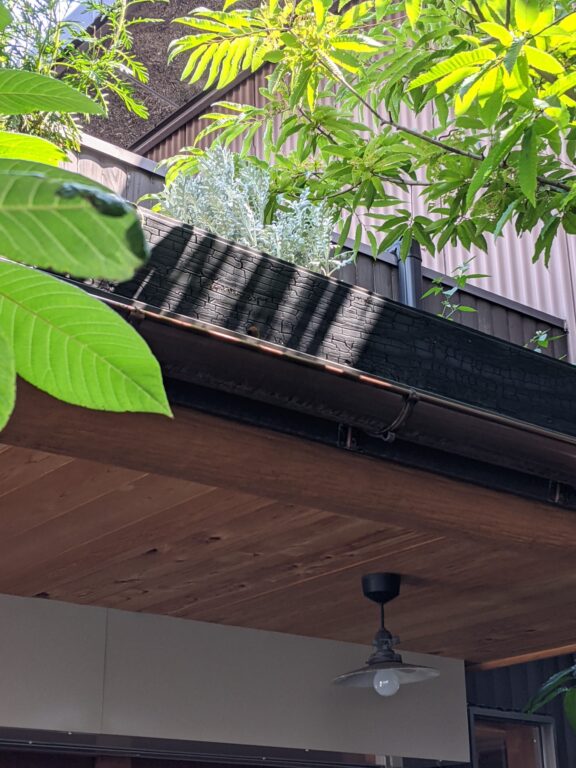 外装材 焼アコヤ